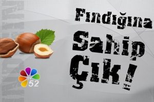 Fındık fiyatlarına dikkat &ccedil;ekmek i&ccedil;in 40 saat canlı yayın yaptılar