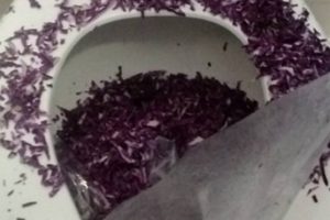 Tuvalete doğranan kırmızı lahana sosyal medyayı salladı