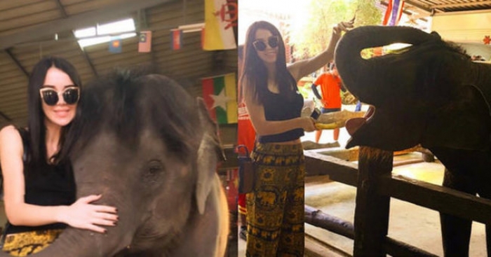 Elif Ece Uzun'un fil aşkı...