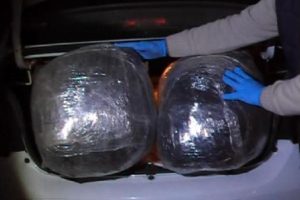 Gaziantep'te 15 kilo esrara 1 tutuklama