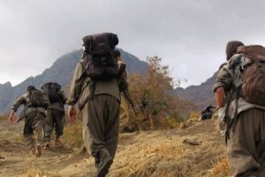 PKK'lıların cesetleri morglara sığmadı