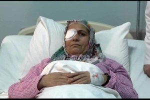 43 yıl sonra g&ouml;rmeye başladı