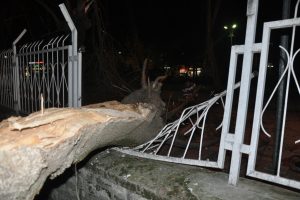 Bursa'da lodos zor anlar yaşattı!