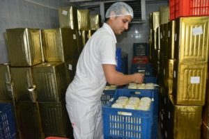 Bursa'da &uuml;niversitenin sattığı organik s&uuml;t ve et kapış kapış gidiyor