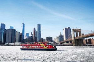 New York soğuktan dondu