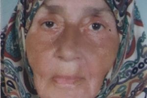 TEM'de otomobilin &ccedil;arptığı kadın &ouml;ld&uuml;