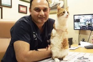 İki ayaklı internet fenomeni