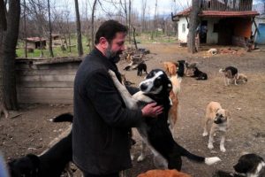 Hayatını sokak k&ouml;peklerine adadı
