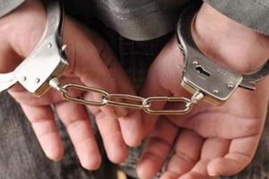 Ağrı'da &uuml;st d&uuml;zey ter&ouml;rist yakalandı