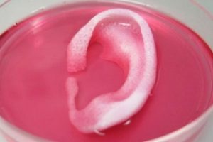 &Uuml;&ccedil; boyutlu baskıyla canlı v&uuml;cut par&ccedil;aları &uuml;retildi