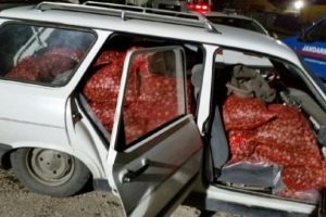 Edirne'de 3 ton ka&ccedil;ak midyeye 4 bin lira ceza