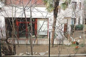 Cihangir'i karıştıran horoz