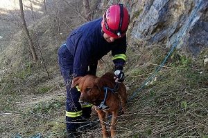 Kayalıklarda mahsur kalan k&ouml;peği itfaiye kurtardı