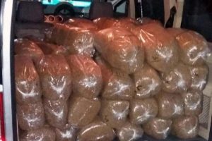 Kamyonette 500 kilo ka&ccedil;ak t&uuml;t&uuml;n ele ge&ccedil;irildi