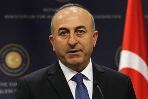 &Ccedil;avuşoğlu: Talimatını bizzat Esad'dan almıştır