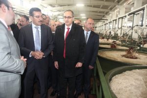 Bakan T&uuml;fenk&ccedil;i Bursa'da zeytin &uuml;retecisine m&uuml;jdeyi verdi
