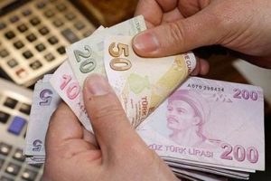 İşsize 1 yıl boyunca devletten maaş