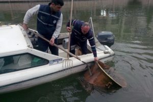 Nasrettin Hoca'nın kazanı &ccedil;aydan &ccedil;ıktı