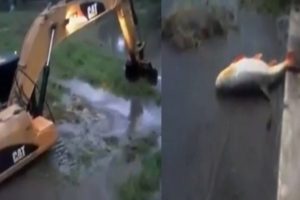 Balık tutmada ilgin&ccedil; y&ouml;ntem