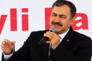 Bakan Eroğlu: Eylemcileri tespit edip gerekli cezayı vereceğiz