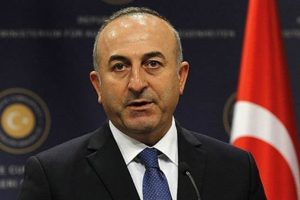 &Ccedil;avuşoğlu: O yılan gelip sizi sokar