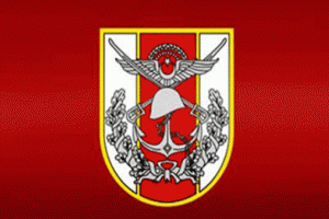 TSK'dan "T&uuml;rk generalin Suriye'de &ouml;ld&uuml;r&uuml;ld&uuml;ğ&uuml;" iddiasına yalanlama