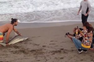 Fotoğraf &ccedil;ekmek i&ccedil;in k&ouml;pek balığını denizden &ccedil;ıkardı!