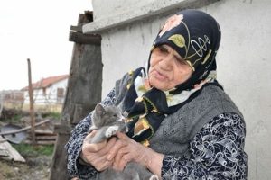 Kediler a&ccedil; kalır diye k&ouml;yden ayrılmıyor