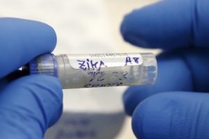 Brezilyalı bilim adamları Zika vir&uuml;s&uuml;n&uuml;n DNA dizilimini keşfetti
