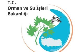 Orman ve Su İşleri Bakanlığı'ndan 'Cerattepe' a&ccedil;ıklaması