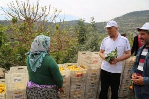 Cerattepe direniş&ccedil;ilerine, biber gazına karşı Mersin'den limon