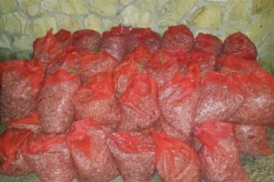 Edirne'de 700 kilo midye ele ge&ccedil;irildi