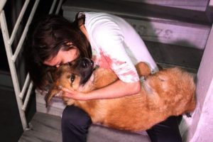 K&ouml;peği i&ccedil;in "ne olur &ouml;lme" diyerek g&ouml;zyaşı d&ouml;kt&uuml;