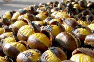 Bursa&nbsp;Ticaret Borsasında, kestanenin fiyatı ne oldu?