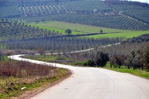 Bursa -17 dereceyi g&ouml;rd&uuml;, zarar b&uuml;y&uuml;k!