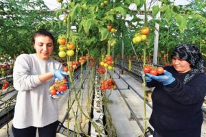 Eskiden &ccedil;&ouml;pl&uuml;kt&uuml;, şimdi &uuml;retim merkezi oldu