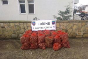 Ka&ccedil;ak midyeleri denize d&ouml;kmek isterken su&ccedil;&uuml;st&uuml; yakalandı