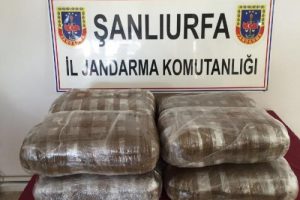 Şanlıurfa'da yolcu bagajında 50 kilo esrar, 2 g&ouml;zaltı