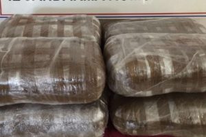 Yolcunun valizinden 50 kilo esrar &ccedil;ıktı