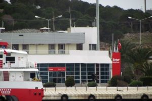 Sahte pasaportla yakalanan Fransız gazeteci sınır dışı edildi
