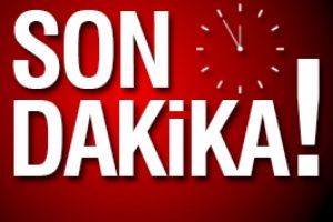 Bursa'da TIR tarlaya u&ccedil;tu