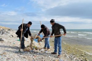 Adilcevaz Belediyesi ekipleri Van G&ouml;l&uuml; sahilini temizledi
