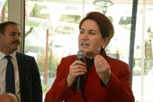 Meral Akşaner'dan 'muhalifler'e tebrik
