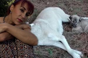 Leman Sam'dan k&ouml;peğe tecav&uuml;z edenlere tepki