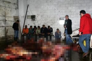İzmir'de at eti operasyonu