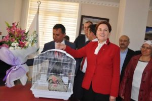 Akşener: Nasıl ka&ccedil;arlarsa ka&ccedil;sınlar kongre yapılacak