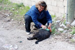 Motosikletin &ccedil;arptığı k&ouml;peğinin başında ağladı