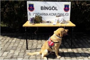 Bing&ouml;l'de PKK sığınağı ortaya &ccedil;ıkarıldı