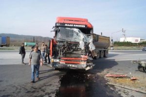 TIR ile kamyonet &ccedil;arpıştı, 2 b&uuml;y&uuml;kbaş hayvan telef oldu