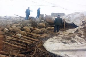 &Ccedil;&ouml;ken ahırda 70 koyun telef oldu